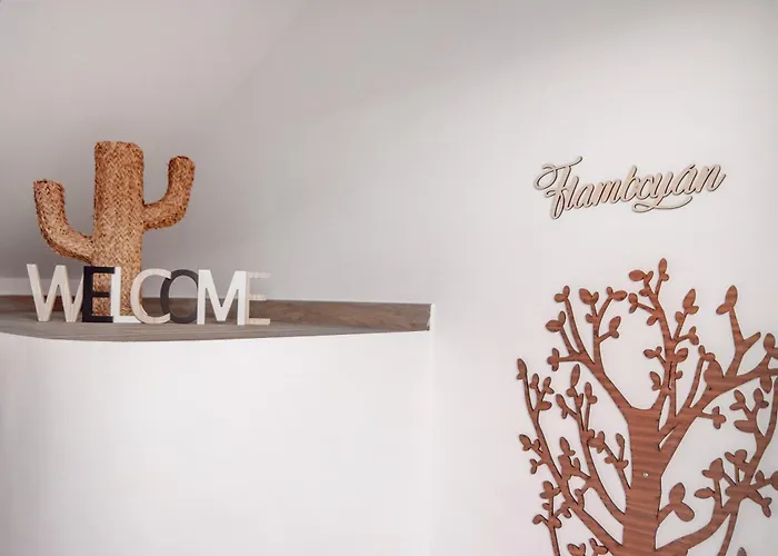 Flamboyan 2 تيلدي